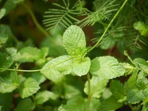 ���ɶԼҾӻ�����Ӱ��-���ɵĶ�����;