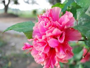 ��ɣ�ԼҾӻ�����Ӱ��-��ɣ��Ҿӷ��Ĵ���