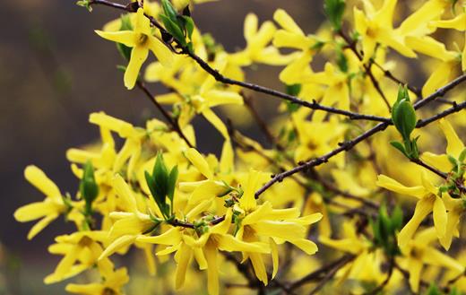 感冒了别随便买中成药吃 这些用药错误你都犯了吗?