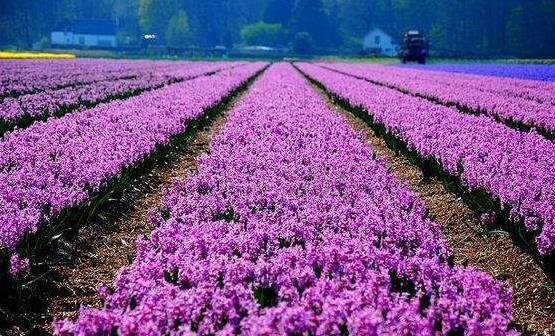 ���ڻ����߻����ʮ�� ���������ݹ��ܵ��ʻ�