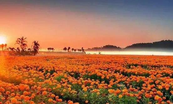 ���ڻ����߻����ʮ�� ���������ݹ��ܵ��ʻ�