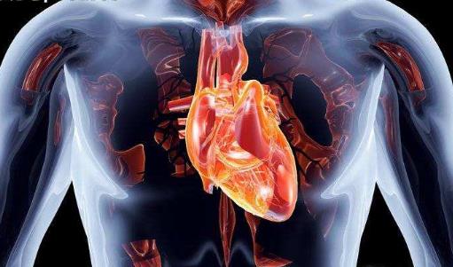 �ķκø����������� �ܹ��ٽ��ķι��ܵ��˶�