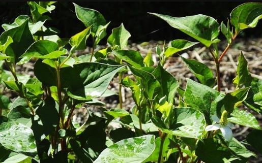 �������̤��Ҫע��ʲô����3����һ��Ҫ����