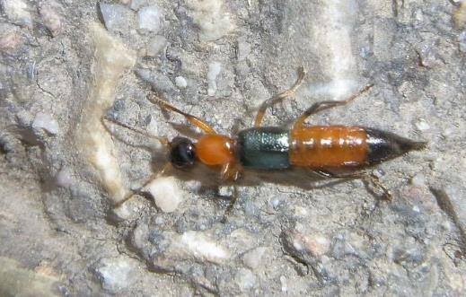 �������̤��Ҫע��ʲô����3����һ��Ҫ����