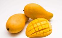 â����������Щ֢״