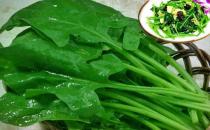 ƶѪ��β�Ѫ ����������6������