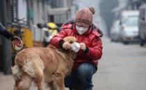 �����������Ҫ������