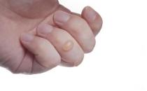 �������Сƫ����Ĺ�����