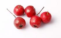 �ں������ʳ�ɽ髸��ٴ�����