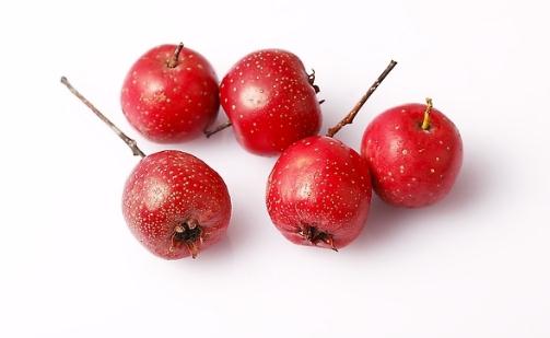 �ں������ʳ�ɽ髸��ٴ�����