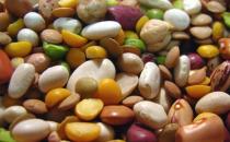 �Ե㶹���������ɣ�