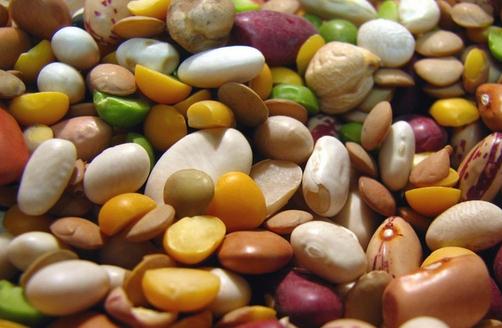 �Ե㶹���������ɣ�