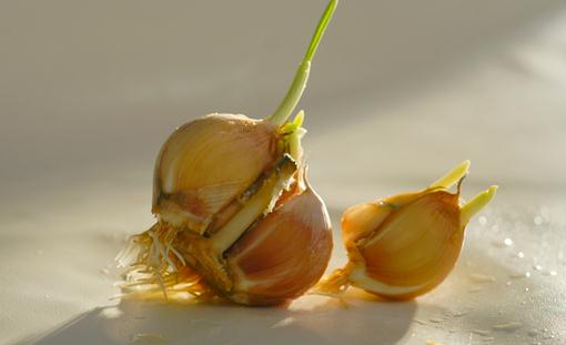 ��Щ��ѿ��ʳ��Ҳ���Գ�