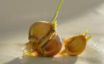 ��Щ��ѿ��ʳ��Ҳ���Գ�