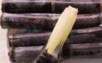 ���յĸ��������� ����Ļ����³Է�