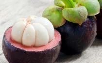 ɽ����Ϊ����֮�� Ӫ���ḻ���������ó�ǿ