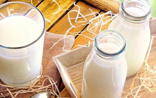 ţ���а�ɫѪҺ�ĳƺ� ţ�̺Ͷ���������