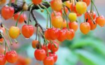 ����ӣ������� �ٽ�˯�߽���ʹ�緢���ķ���