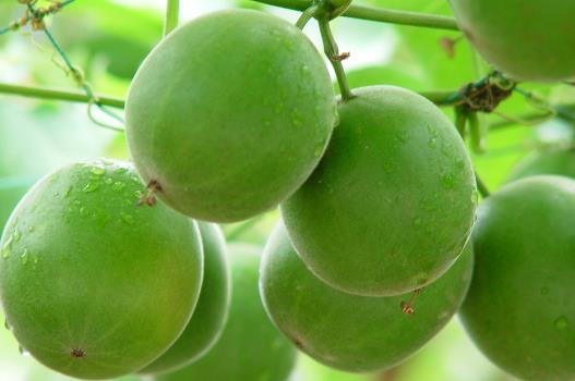 �����ɹ������ֹ��ȫ����