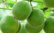 ���Ӣ�����ɹ� ���ֹ��ȫ����