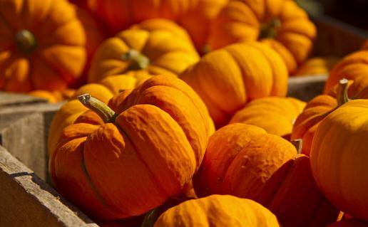 ��ѡ�Ϲϵ��ĸ�����