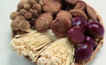 ��ѡĢ����������� ������ֹ���ѡ����