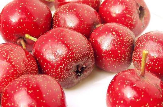 ʲô����ɽ髺óԣ�����ѡ�������ɽ�