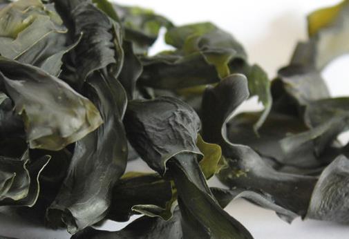 �ɺ����ܴ�Ŷ�ã��ɺ����ܳ��ڴ����