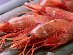 ��Ϻ��ô���óԣ���Ϻ��Ӫ����ֵ