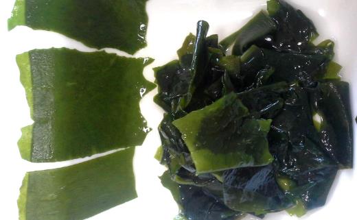 ʳ�����������������9��ʳ�ﲻ�ɴ�����