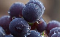 ������úܶ�Բ��� ��ʱ�䱣���о���