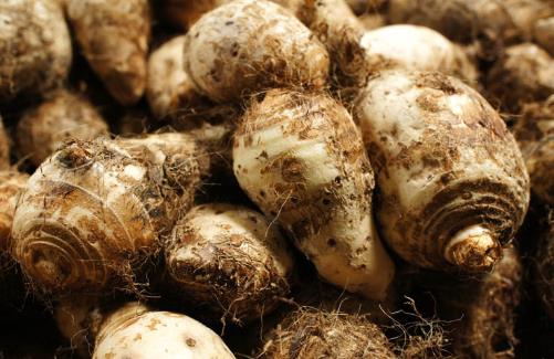 ��ͷ�Ľ��ܼ�Ӫ����ֵ����Ч������