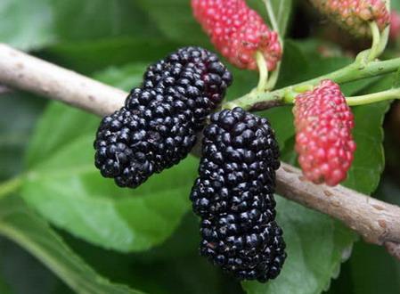 ɣ�������ϴ��ɣ�ص���ϴ����