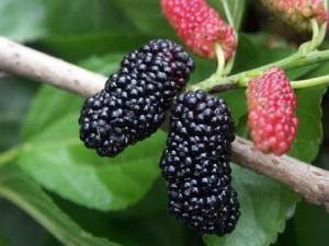 ɣ�������ϴ��ɣ�ص���ϴ����