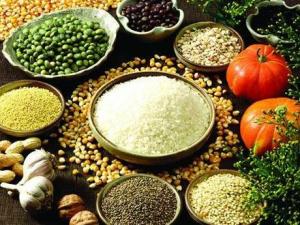 ��ɫʳƷ��ʲô����ɫʳƷ��׼