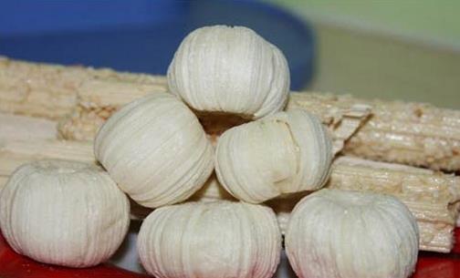 �Ϸ���С���ʲô��