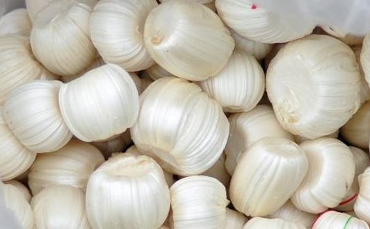 ����ڳ����� ������������ǵĳ�ʶ