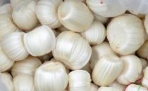 ����ڳ����� ������������ǵĳ�ʶ