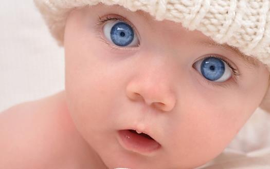 �������������Ȩ�� ���Ů���¼����䶳����