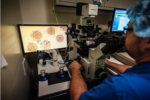 �������������Ȩ�� ���Ů���¼����䶳����