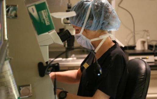 �������������Ȩ�� ���Ů���¼����䶳����