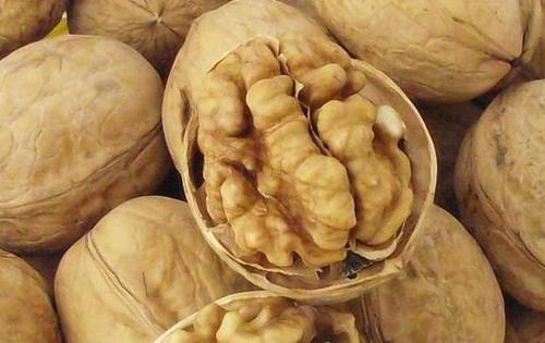 �������ʲô���Բ���