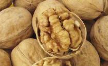 ѧ����ʲô���Բ���