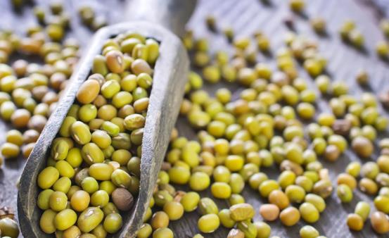 �������Ӹλ���ʢ ��λ���߲˺���Ӧ���