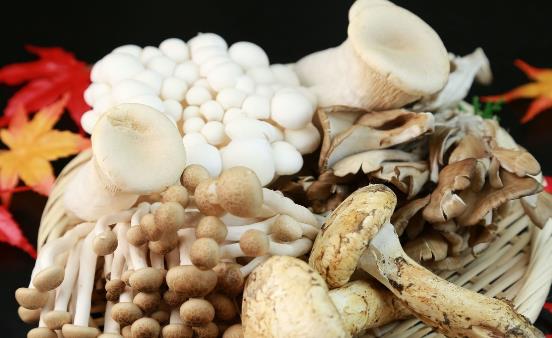 ���˲��ؿ���ѪѹԤ���з� ��Ҷ�˺������㽶