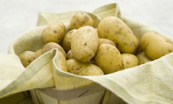 ���˲��ؿ���ѪѹԤ���з� ��Ҷ�˺������㽶