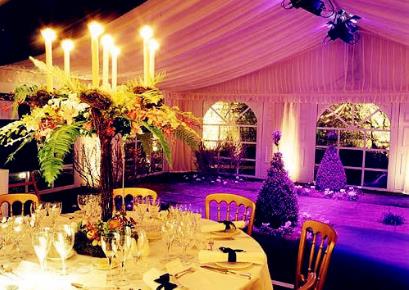 ������Ĳ߻�ϸ������Щ�������������