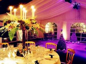 ������Ĳ߻�ϸ������Щ�������������