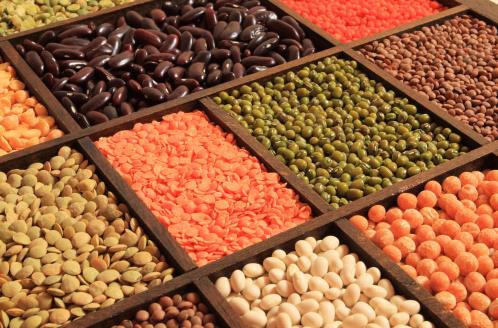 ���ջش������8���峦С���֣���Ƣ��θ��ͨ�� 