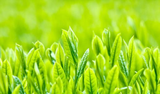 ���ջش������8���峦С���֣���Ƣ��θ��ͨ�� 